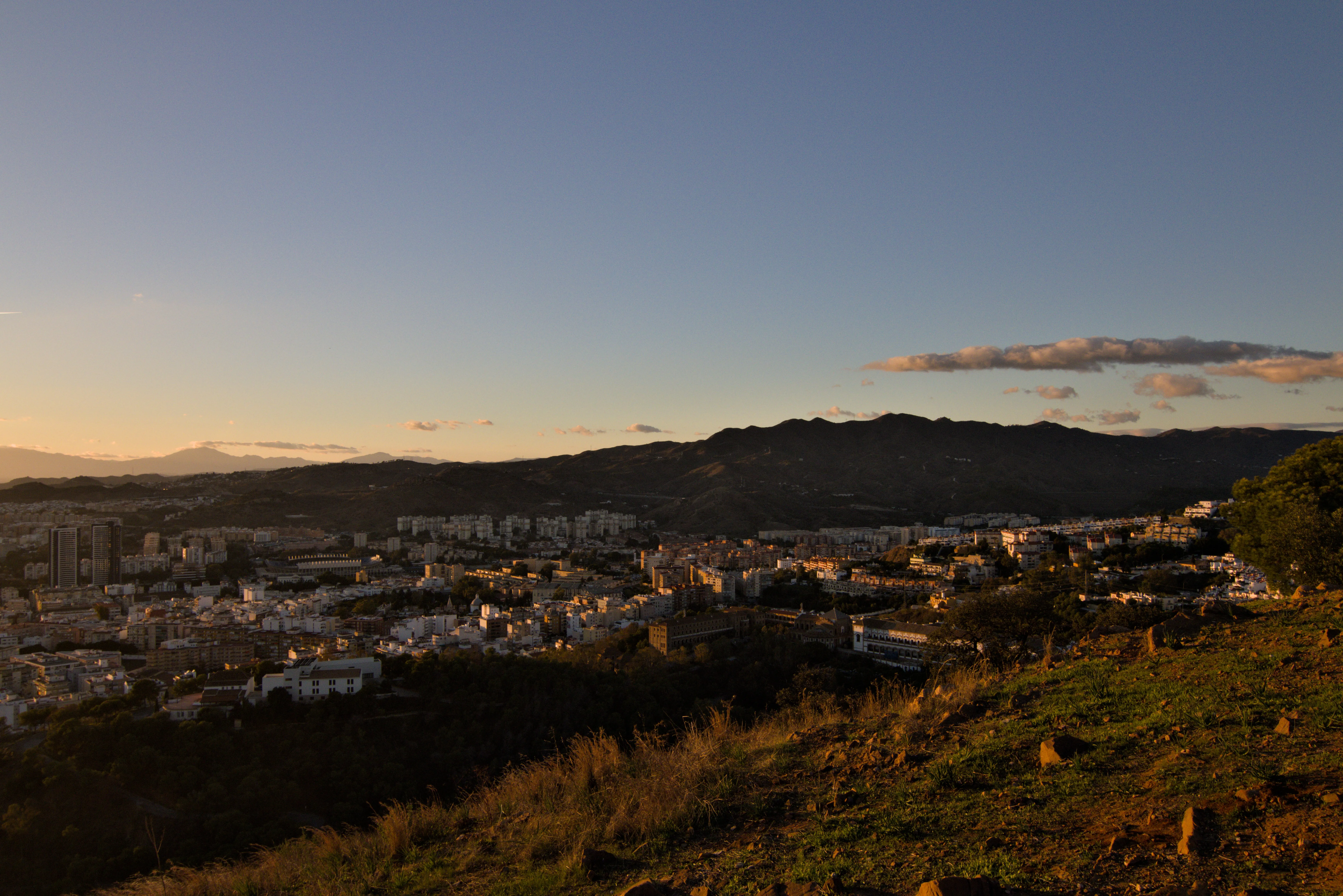 Tokina at-x 116 (EF) - _I4A5332.webp